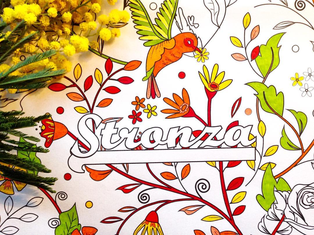 Il Libro Delle Parolacce Da Colorare