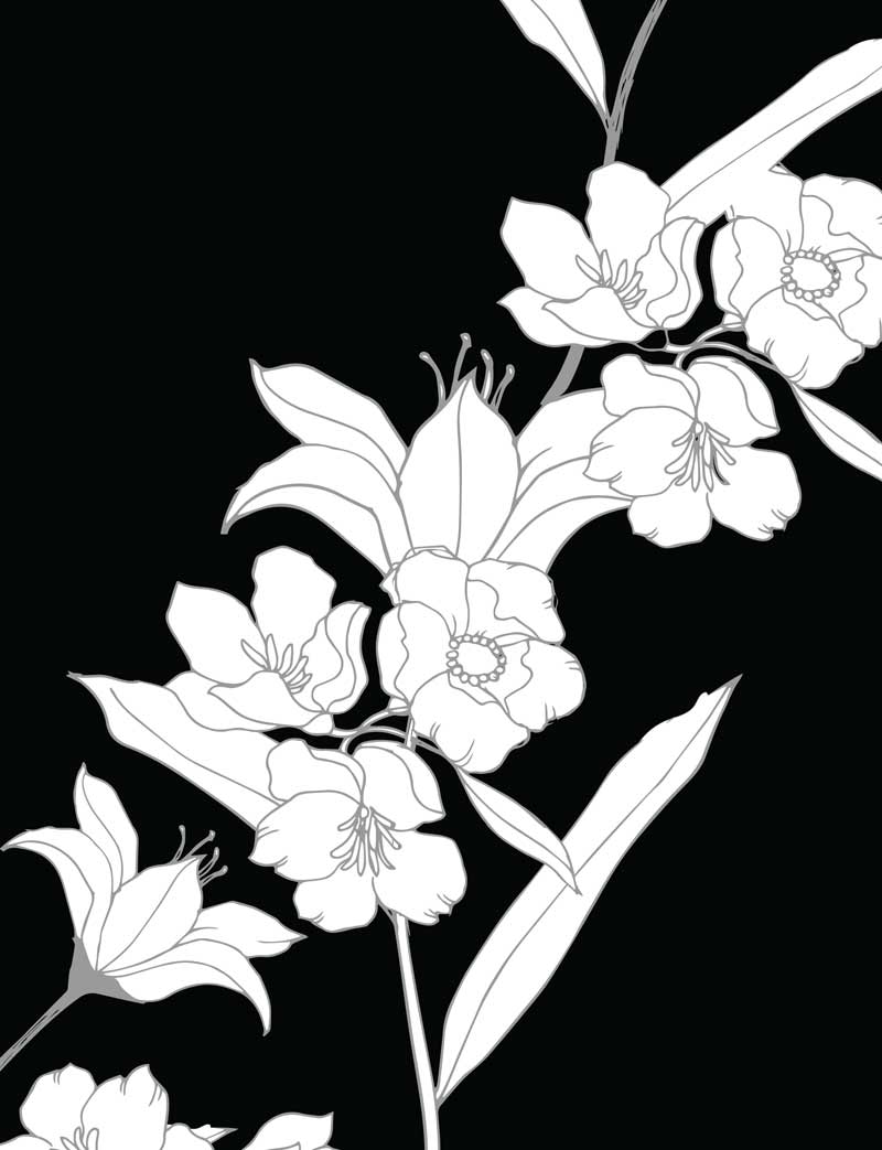40 Mandala Semplici da Colorare Fiori Adulti Sfondo Nero: libro mandala  fiori semplici e complessi da colorare adulti - mandala sfondo nero adulti  (Paperback)