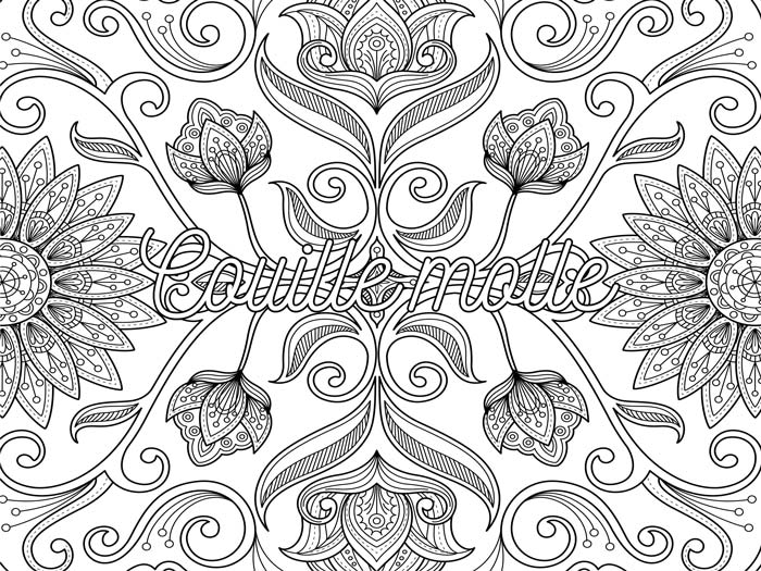 Mon Cahier D Injures A Colorier Livre De Coloriage Adulte Avec Des Injures