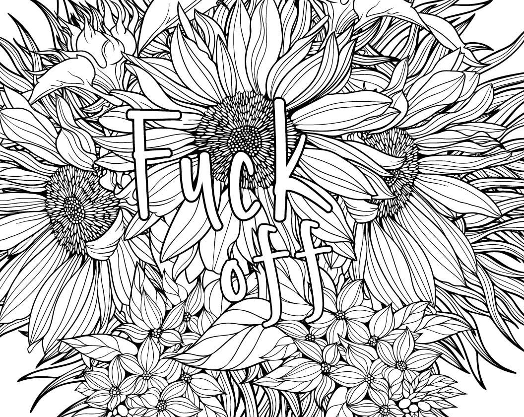 My Big Coloring Book of Swears : irreverent coloring book for adults