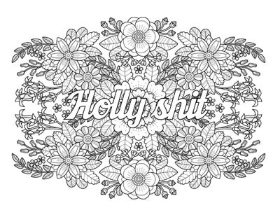 Coloring Book of Swears words adult funny holly shit